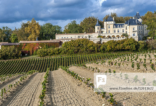 Frankreich  Gironde  Chateau de la Riviere im Weinanbaugebiet AOC Fronsac  Anpflanzung neuer Reben