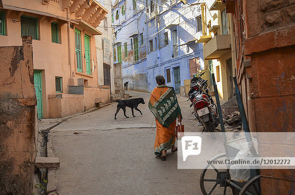 Städtische Straße in Rajasthan  Indien  Rückansicht eines Spaziergangs mit Frau und Hund.