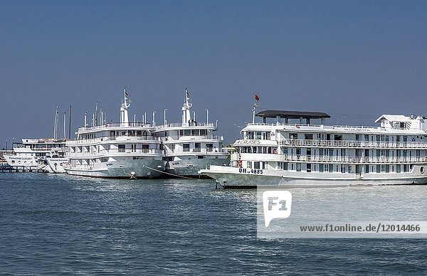 Vietnam  Ha Long Bay  Kreuzfahrtschiffe im Hafen der Insel Tuan Chan (UNESCO-Welterbe)