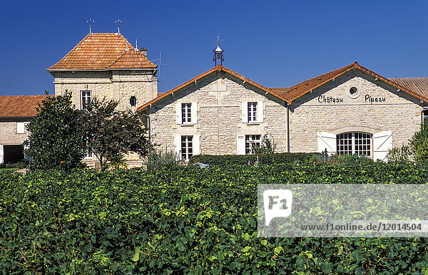 Frankreich  Gironde  St Laurent-des-Combes  Chateau Pipeau AOC St Emilion Grand Cru Classe (UNESCO-Welterbe)