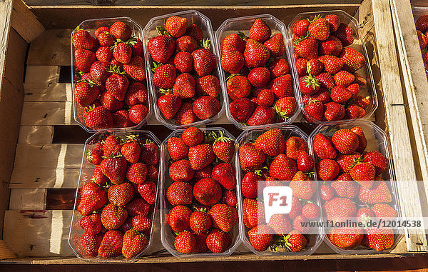 Frankreich  Landes  Thermalstadt Dax  Erdbeeren an einem Marktstand  place Bouvet
