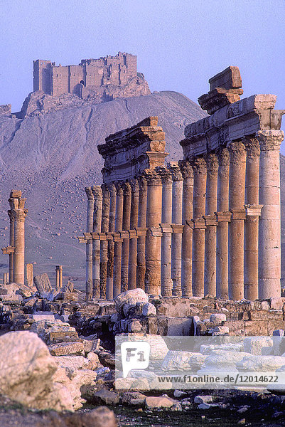 Syrien  Palmyra  archäologische Stätte (UNESCO-Welterbe)  arabische Zitadelle im Hintergrund