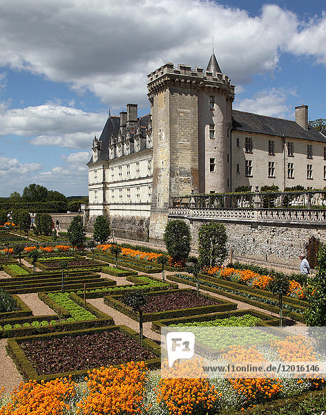Frankreich  Mittelfrankreich  Touraine  Chateau de Villandry und sein bemerkenswerter Garten. Vertikale Ansicht mit quadratischen Gärten und orangefarbenen Blumen.