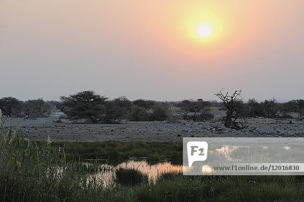 Afrika  Südliches Afrika  Namibia  Provinz im Norden: Omusati  Nationalpark: Etosha  Namutoni Camp