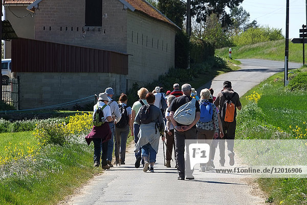 Group of hikers on a country road