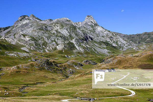 Frankreich  Nouvelle Aquitaine  Departement Pyrenees-Atlantiques (64)  Bearn-Land  Nationalpark Pyrenäen in der Nähe des Bergpasses Pourtalet (Kreis Aneou)