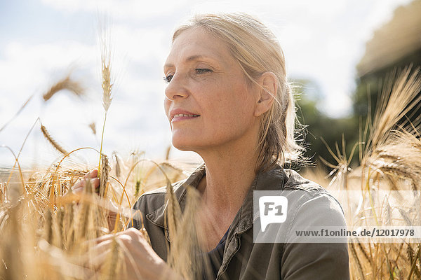 Thoughtful smiling woman looking at wheat ear in farm on sunny day