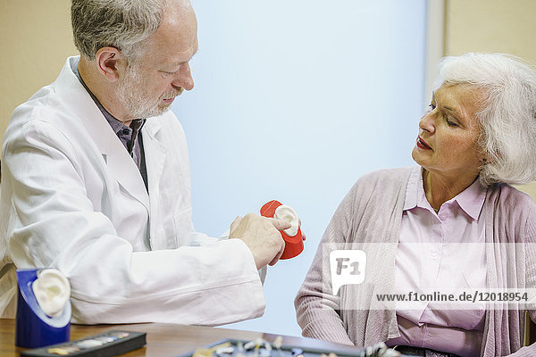 Arzt hält anatomisches Modell  während er der älteren Frau in der Klinik erklärt.