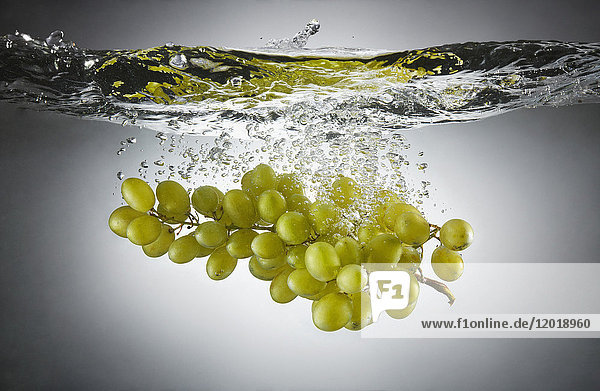 Nahaufnahme von grünen Trauben im Spritzwasser
