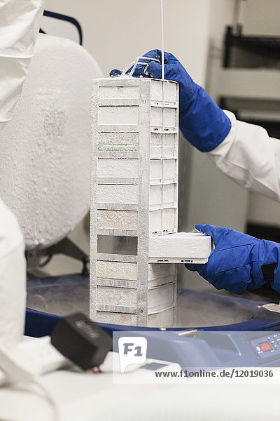 Abgeschnittenes Bild eines Wissenschaftlers  der ein gefrorenes Lagerfach im Labor hält.
