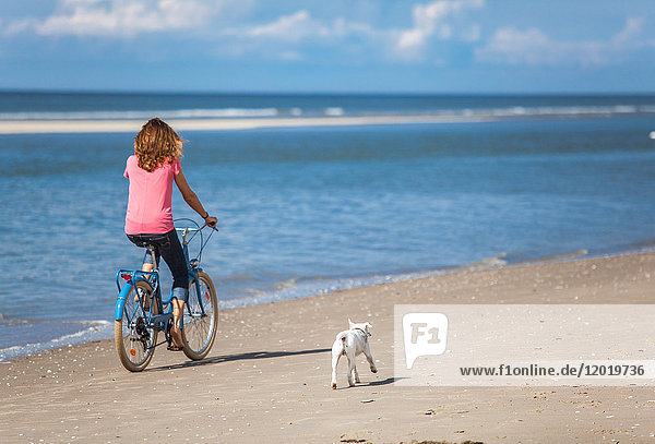 Junge Frau mit ihrem Hund auf dem Fahrrad am Strand  Pas de Calais  Bitch.