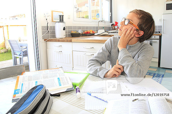 France teenager working his lessons at home.