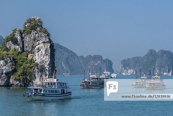 Vietnam  Ha Long Bay  Spaziergang mit Booten inmitten von Inseln (UNESCO-Welterbe)