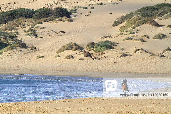 Spain  Andalousia. Tarifa. La Dunas beach.