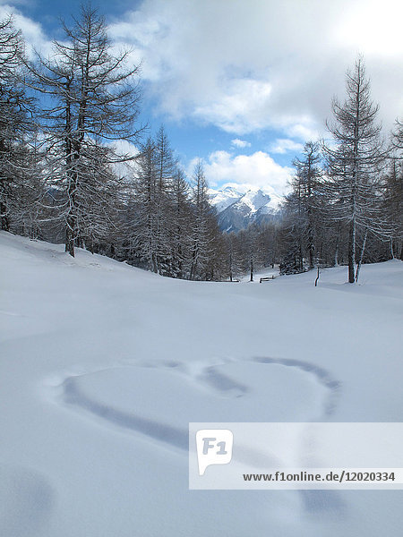 Österreich Nordtirol Stubaier Alpen  Eulenwiesen ein großes Herz wird im Neuschnee in einem Lärchenwald gezeichnet