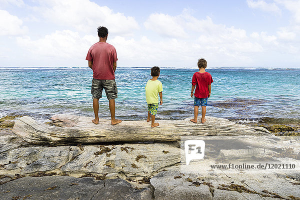 Ein Vater und seine beiden Söhne schauen auf das Meer  Capesterre  Marie Galante  Guadeloupe