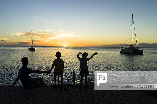 A father and his two sons looking at the sunset  Saint-Pierre  Martinique  France