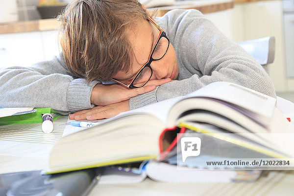 Frankreich  Jugendlicher  der zu Hause im Unterricht schläft.