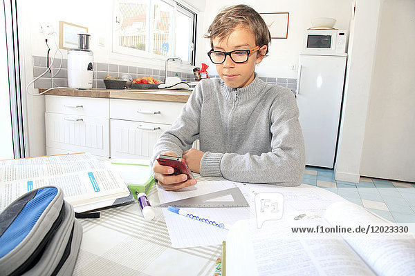 Frankreich  Teenager  der zu Hause telefoniert und seinen Unterricht nacharbeitet.