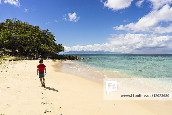 Ein 7-jähriger Junge spaziert am Strand von Moustique  Saint-Louis  Marie-Galante  Guadeloupe  Frankreich
