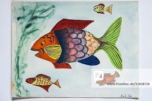 Fisch  Zeichnung  Kinderzeichnung  11 Jahre  Deutschland  Europa