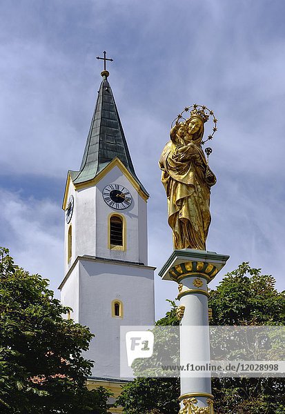Mariensäule und Kirche St. Veit am Marktplatz  Bad Kötzting  Bayerischer Wald  Oberpfalz  Bayern  Deutschland  Europa