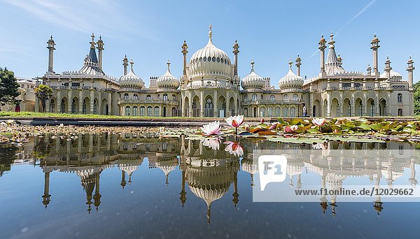 Seerosen in einem Teich vor dem Royal Pavilion Palace  Mirroring  Brighton  East Sussex  England  Großbritannien