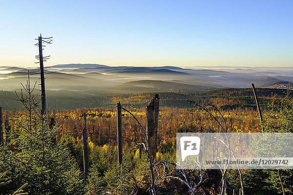 View from Siebensteinkopf  left Bohemian Forest in Czech Republic  right village Finsterau and Alps  National Park Bavarian Forest  Lower Bavaria  Bavaria  Germany  Europe