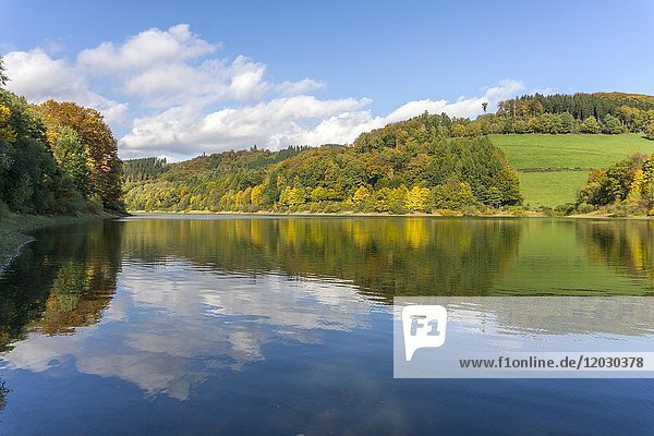 Hennesee im Herbst  Naturpark Sauerland-Rothaargebirge  Nordrhein-Westfalen  Deutschland  Europa