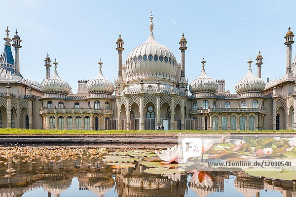 Seerosen in einem Teich vor dem Royal Pavilion Palace  Brighton  East Sussex  England  Großbritannien