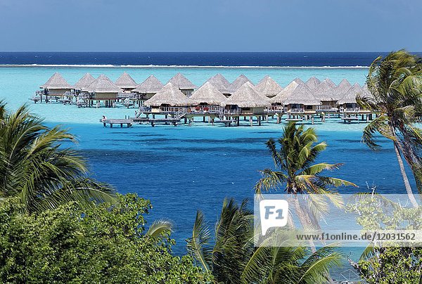Bungalows im türkisfarbenen Meer  Sofitel Bora Bora Resort  Insel  Bora Bora  Gesellschaftsinseln  Französisch Polynesien  Ozeanien