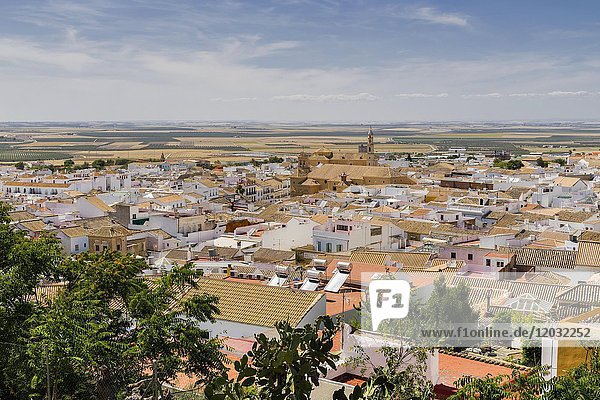 Ansicht der Altstadt  Osuna  Provinz Sevilla  Andalusien  Spanien  Europa