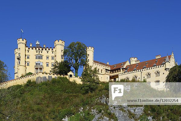 Schloss Hohenschwangau  Schwangau  Ostallgäu  Allgäu  Bayern  Deutschland  Europa
