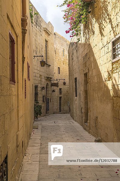 Enge Gasse zwischen alten Häusern  Mdina  Malta  Europa