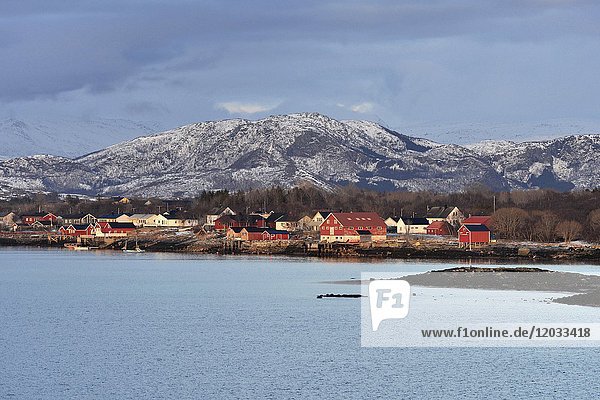 Rote Fischerhütten und Häuser am Ufer des Sund  Brønnøysund  Nordland  Norwegen  Europa