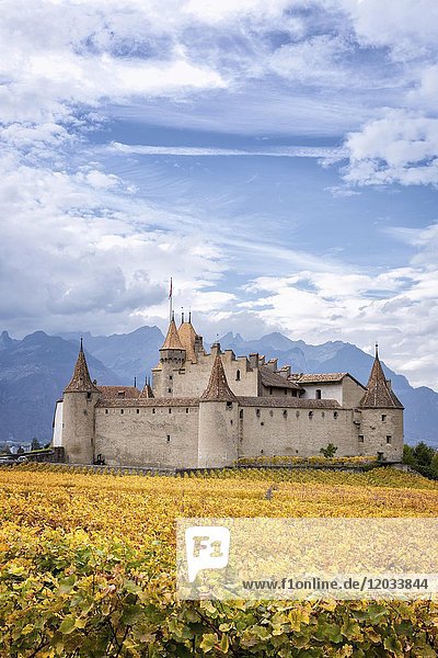 Aigle Castle surrounded by vineyards  Aigle  Vaud  Switzerland  Europe