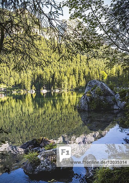 Hintersee  Zauberwald  Ramsau  Nationalpark Berchtesgaden  Berchtesgadener Land  Oberbayern  Deutschland  Europa