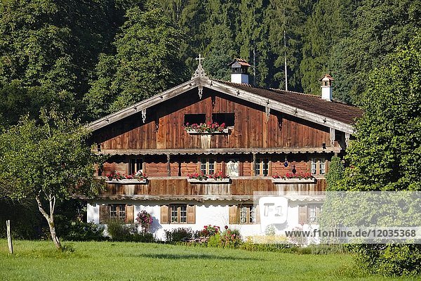 Altes Bauernhaus  Pelletsmühl bei Holzkirchen  Oberbayern  Bayern  Deutschland  Europa