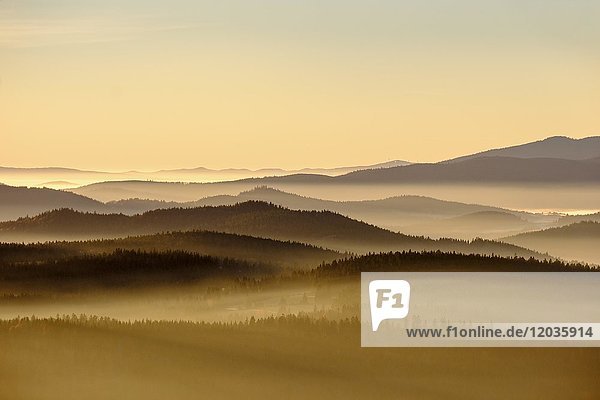 Morgennebel im Nationalpark Sumava in Tschechien  ?umava  Blick vom Siebensteinkopf  bei Finsterau  Bayerischer Wald  Niederbayern  Bayern  Deutschland  Europa
