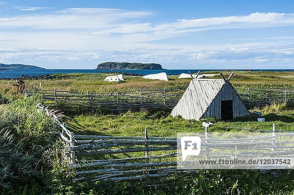 Kleine Hütte  Norstead Viking Village  Rekonstruktion einer Siedlung aus der Wikingerzeit  Neufundland  Kanada  Nordamerika