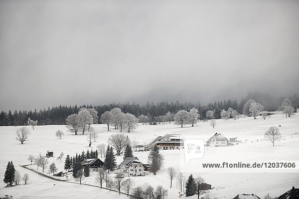 Schwarzwaldhäuser im Winter  Hofsgrund  Schauinsland  Schwarzwald  Baden-Württemberg  Deutschland  Europa