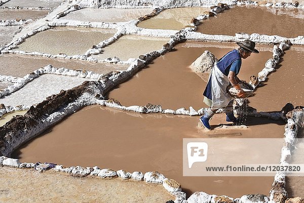 Woman works in terraces for salt extraction Salinas de Maras Valle Sagrado Urubamba Peru South America