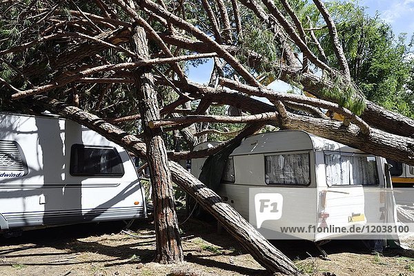 Umgefallene Bäume liegen auf Wohnwägen  Sturmschaden auf Campingplatz  Cavallino  Region Venetien  Italien  Europa