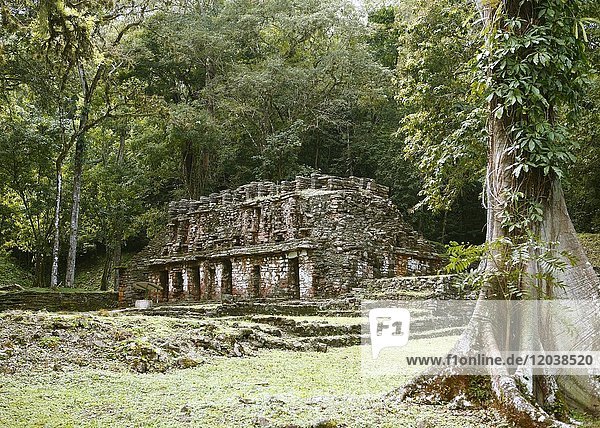 Tempel  Yaxchilan  Mayastätte  Selva Lacandona  Bundesstaat Chiapas  Mexiko  Mittelamerika