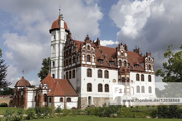 Basedow Castle  Basedow  Mecklenburg Switzerland  Mecklenburg-Western Pomerania  Germany  Europe