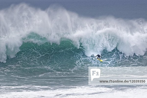 Surfer in einer Welle  Nazare  Portugal  Europa