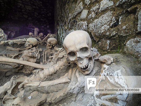 Ercolano  Herculaneum  excavation  Herculaneum  skull and bones of volcanic eruption of astonished inhabitants  excavation site  Gulf of Naples  Campania  Italy  Europe