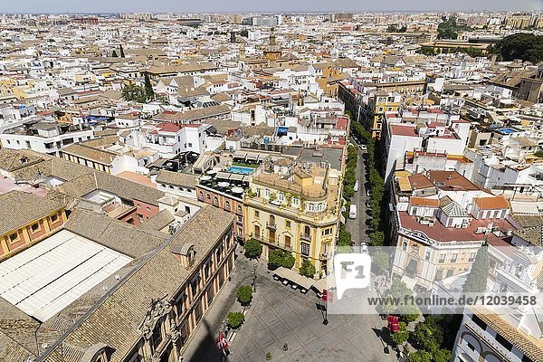 Ausblick von der Giralda auf die Altstadt  Sevilla  Andalusien  Spanien  Europa