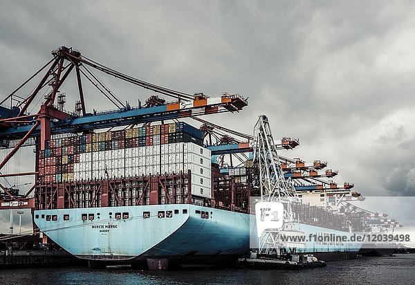 Frachtschiff wird am Burchardkai beladen  Hamburg-Waltershof  Hamburg  Deutschland  Europa