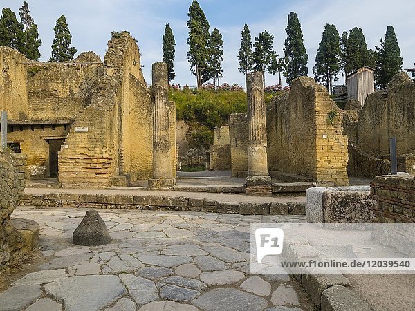 Herculaneum  excavation site  Archaeological site  Gulf of Naples  Campania  Italy  Europe